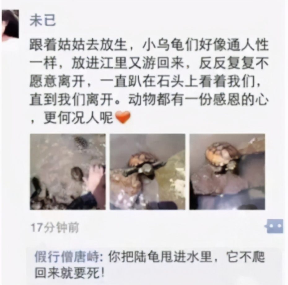 爆笑段子有哪些梗,搞笑段子是真实的吗