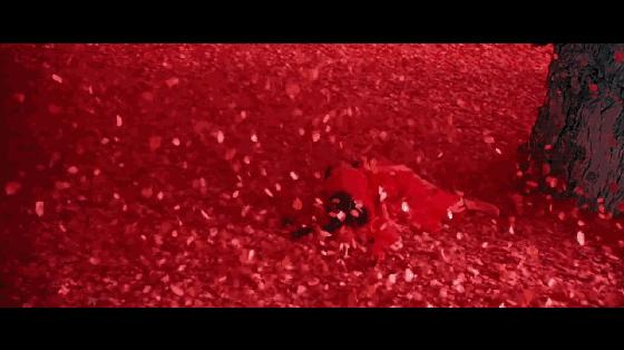 老谋子被严重低估的电影！《英雄》：中国武侠影史上跨时代的一笔