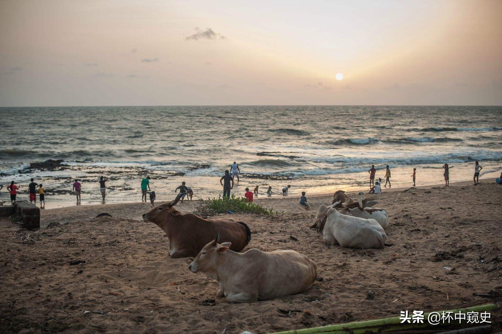 印度最发达的五个邦,印度各个邦经济
