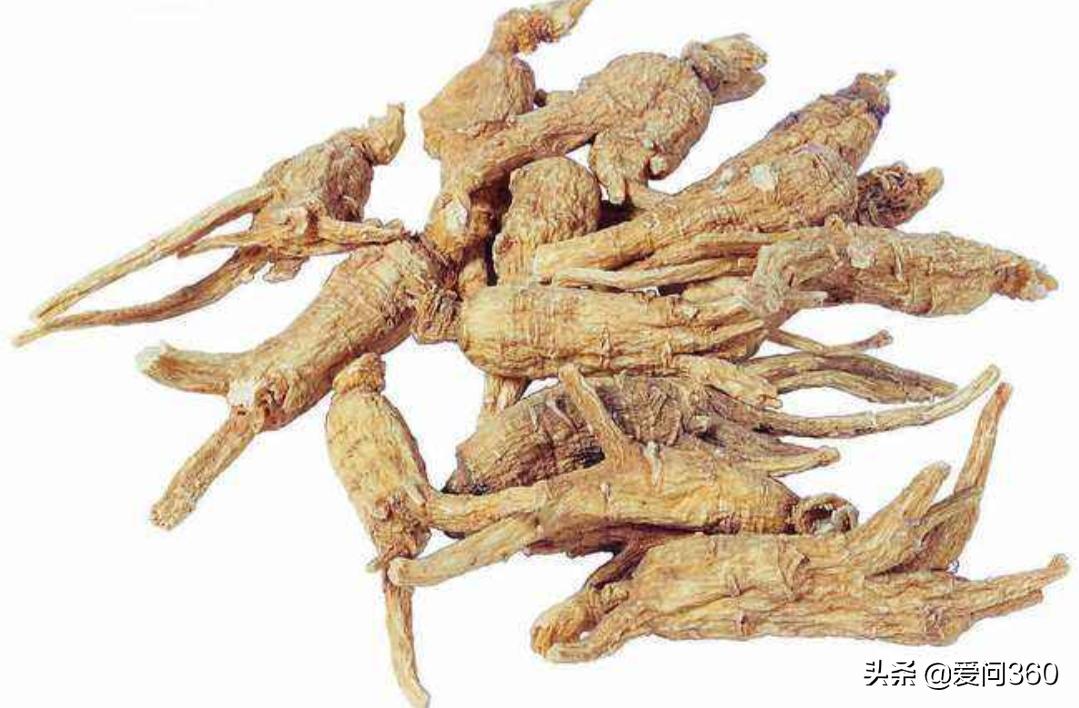 黄芪泡水喝降压多长时间就见效了,黄芪泡水补气适合哪些人喝