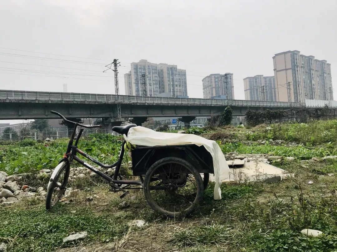 成都土桥露天集市，粗放，生机勃勃