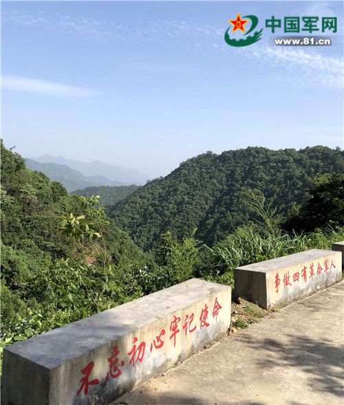 手机信号为什么可以无处不在,手机信号无服务无法连接网络