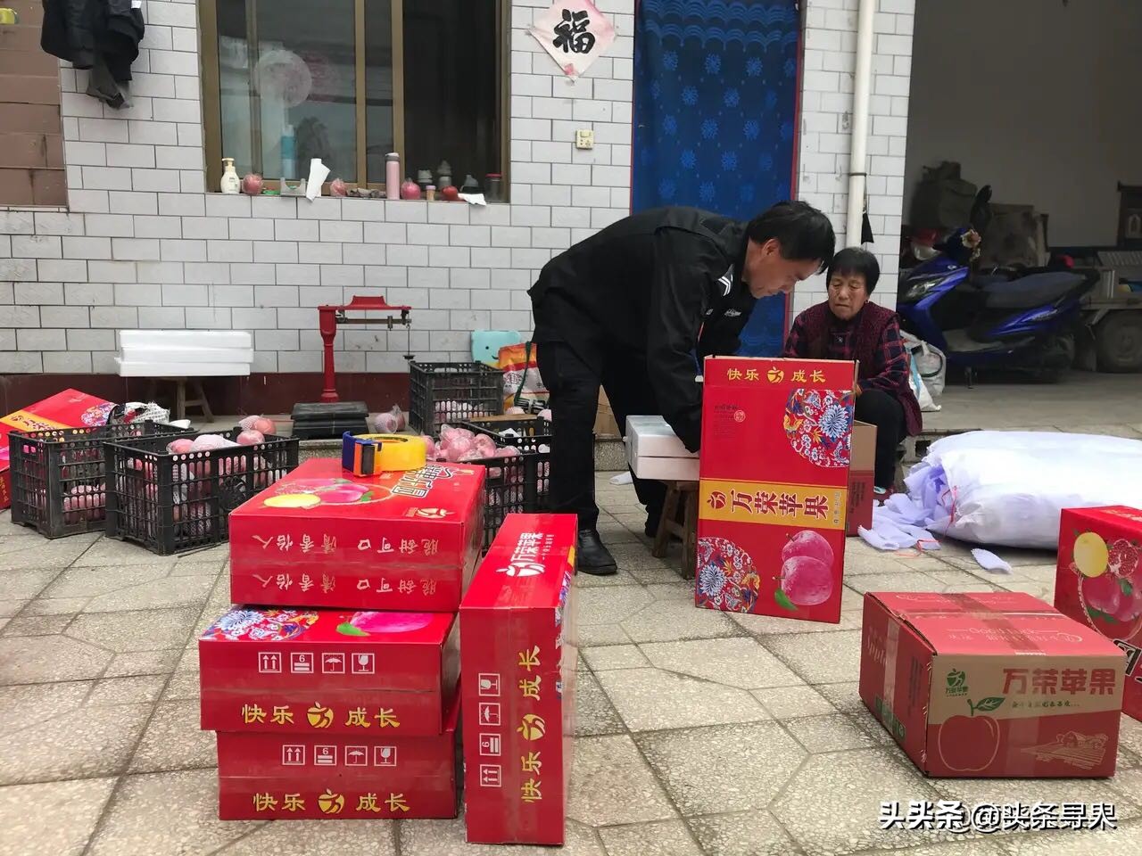 运城退休公务员变扶贫达人直播卖货，最接地气“网红”成万荣果农偶像