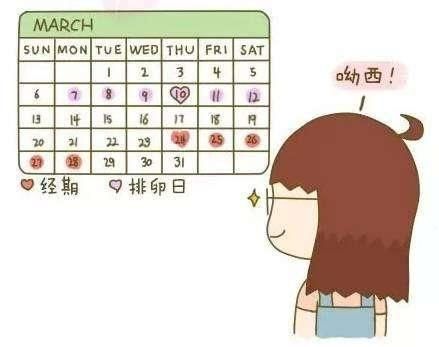 月经周期42天怎么计算排卵期,计算安全期和排卵期计算器