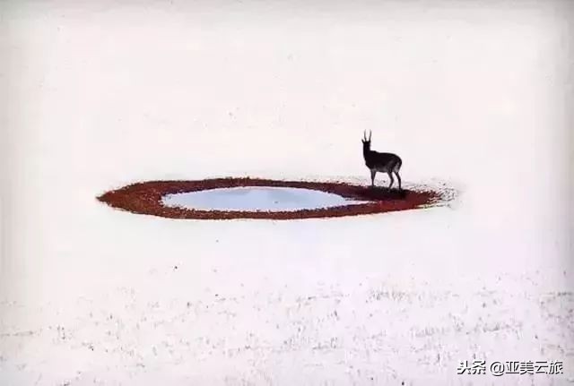 这个冬天邂逅西藏的美好时光 (冬天和爱人邂逅真正的西藏)