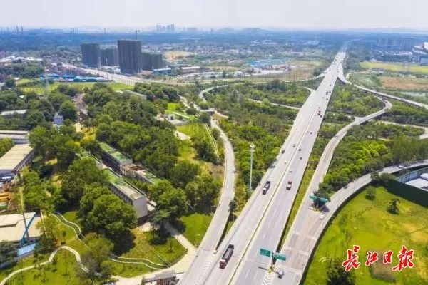 武汉最新的好消息,武汉近期好消息