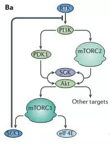 硬货的解析,硬货必买的10种