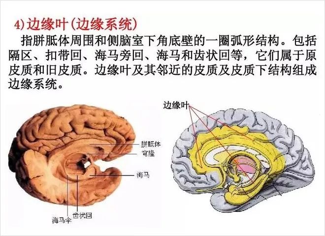 儿童脑损伤很严重吗,儿童脑损伤会有什么后果