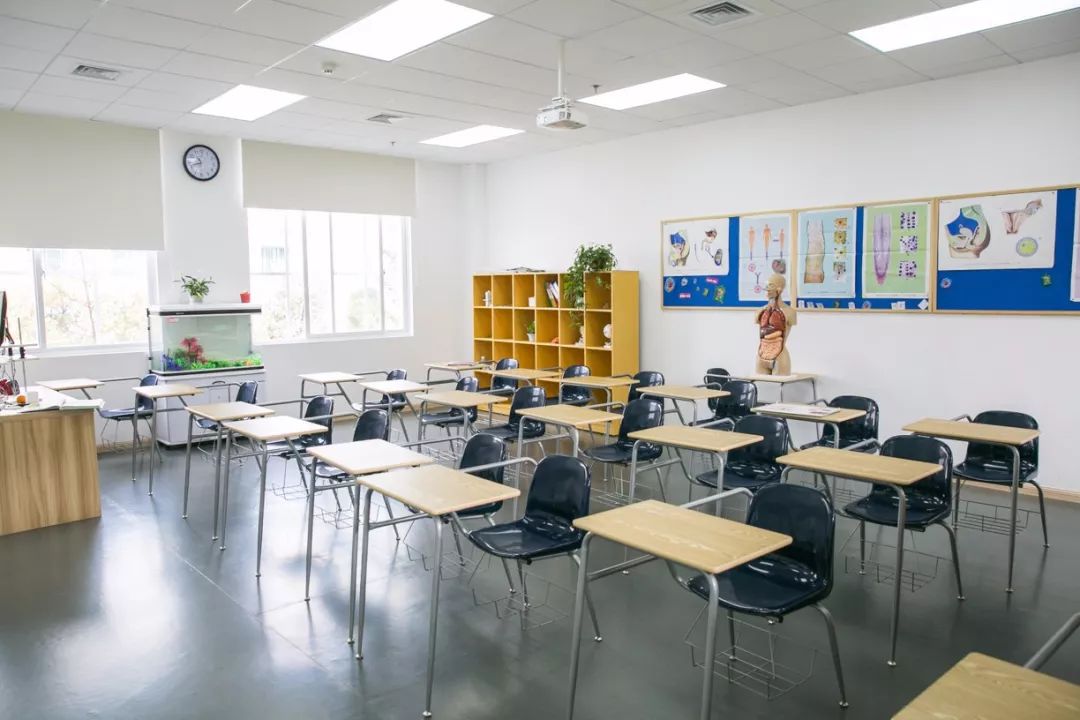 武汉最难进的十大小学,武汉最偏僻的985学校