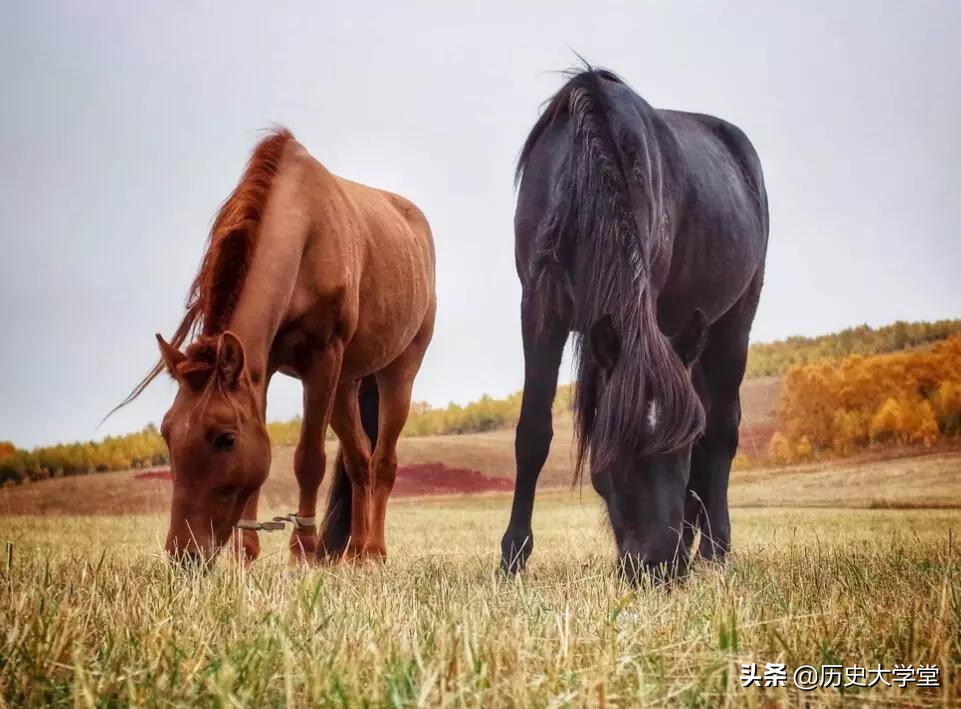 古代河套地区现今在哪里,古代的河套地区是沙漠吗