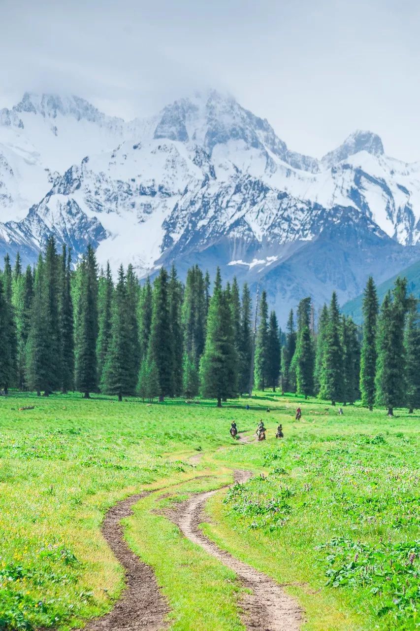鍫瘮鐟炲+鐨勪腑鍥芥粦闆満,濯茬編鐟炲+