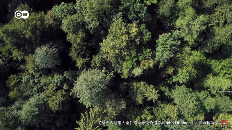 第4027回:气候*弹炸**亚洲纸浆,水上烟泥炭地退化