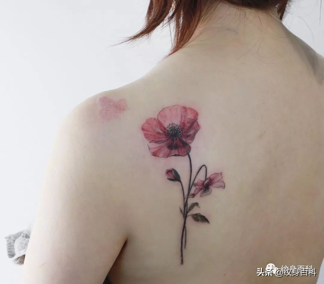 *粟罂**花纹身，致命的吸引~