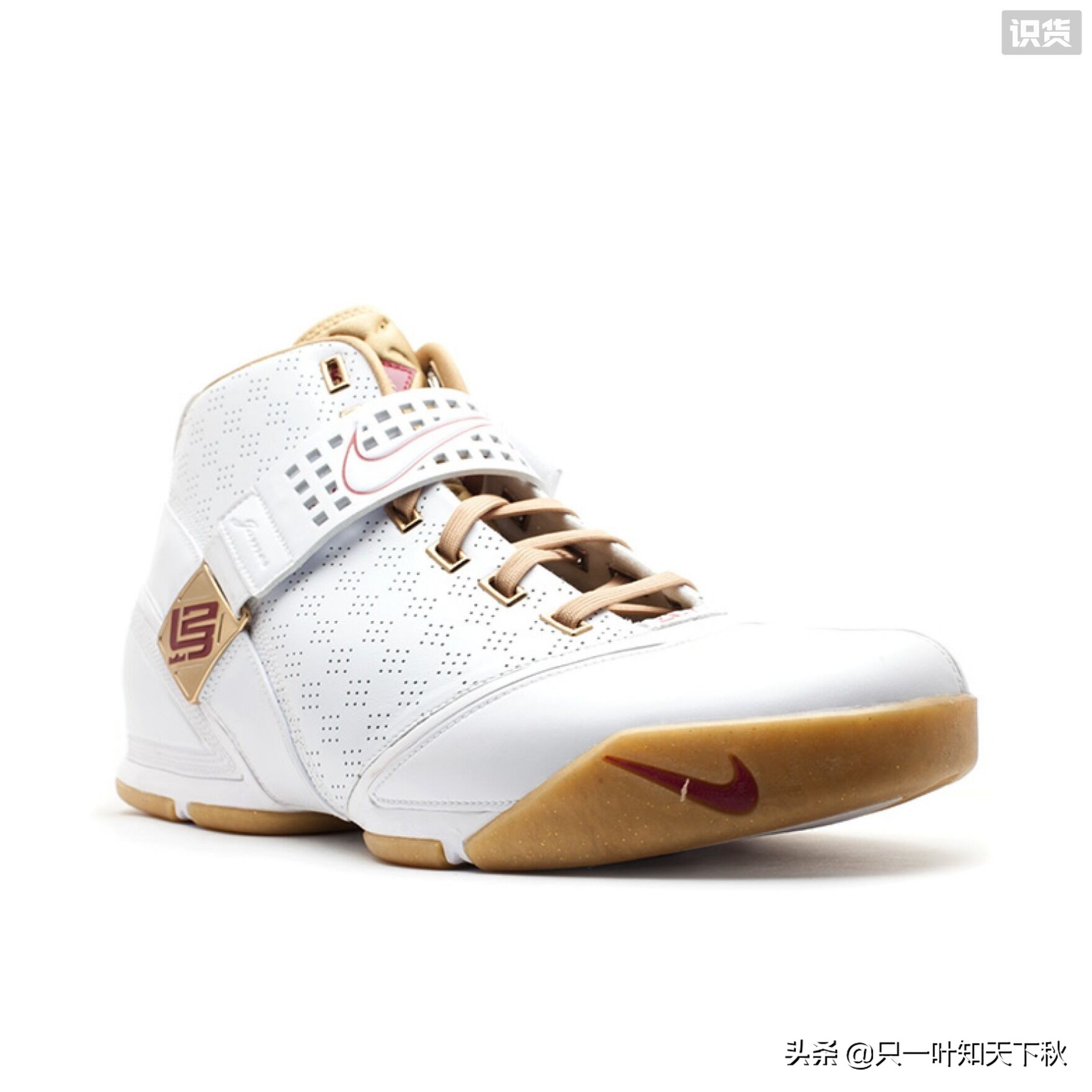 勒布朗詹姆斯上脚球鞋,勒布朗詹姆斯历代配置