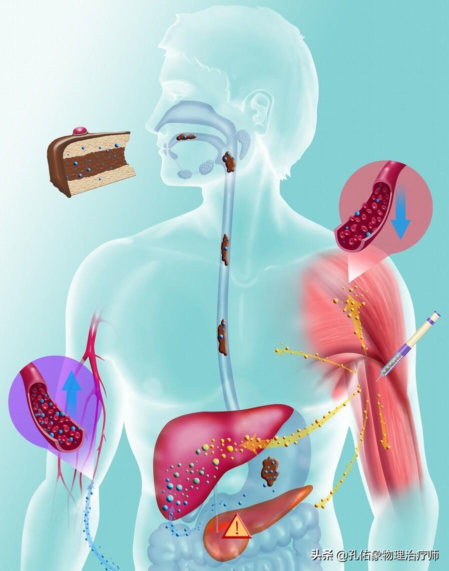 老年人白发转黑发有什么预兆,中老年长白发好吗