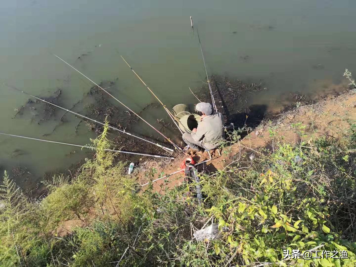 夜钓天黑,夜钓秋末