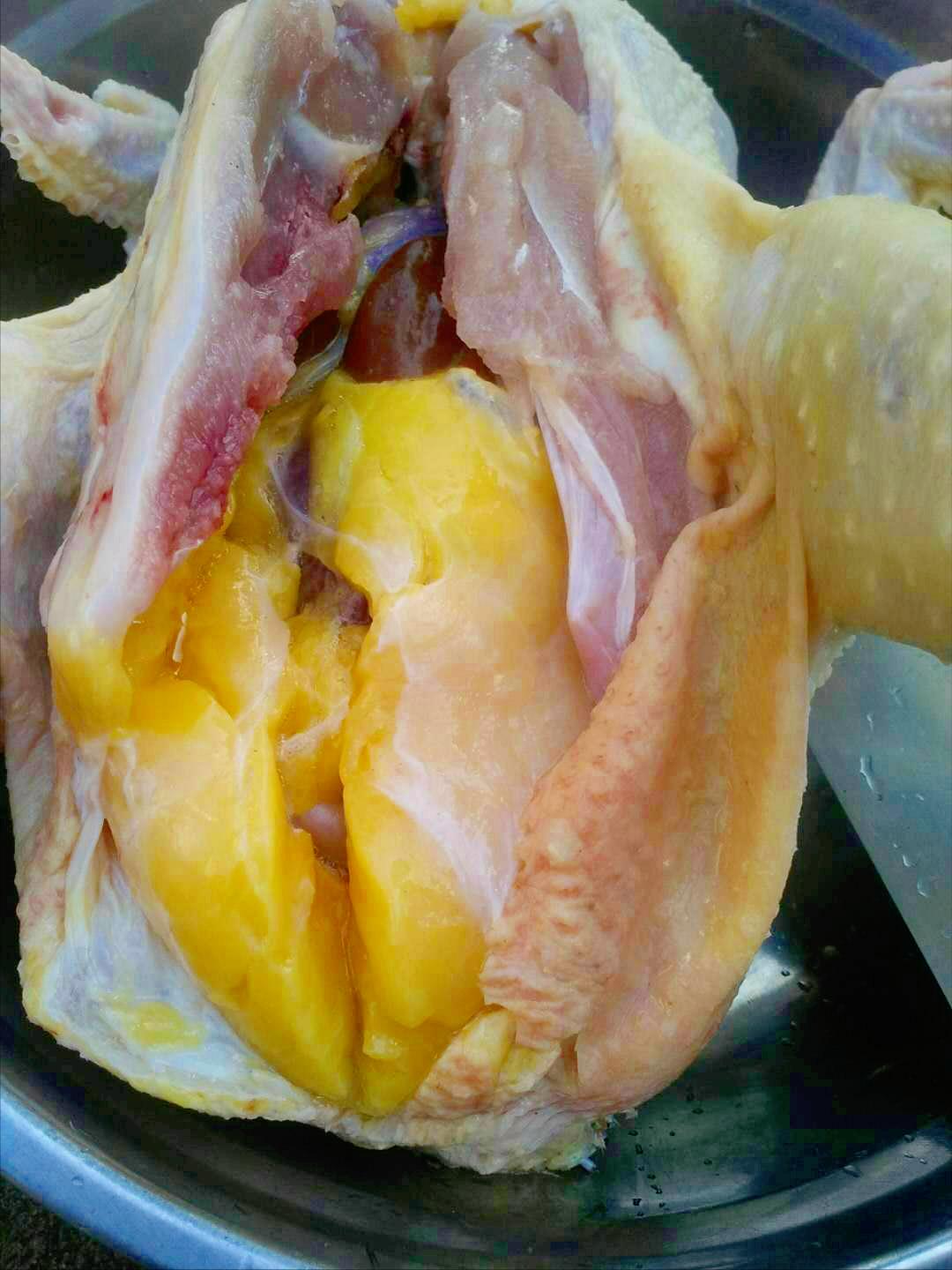 母鸡杀后肚子里的黄油很多,买了一只母鸡肚子里有一颗鸡蛋