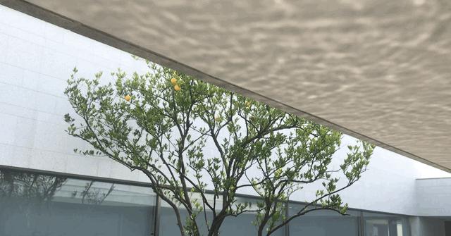 浙江乌镇阿丽拉酒店简介,乌镇阿丽拉酒店设计