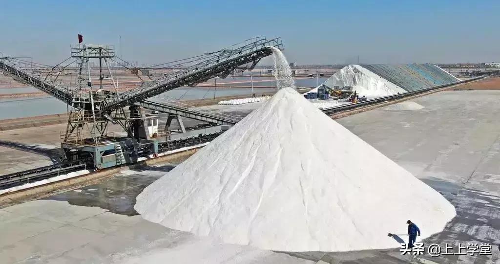 上瘾、暴利和健康,周黑鸭一颗盐背后的经济世界