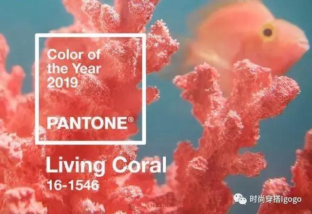 2019照着这些颜色买买买！绝对走在时尚尖端！