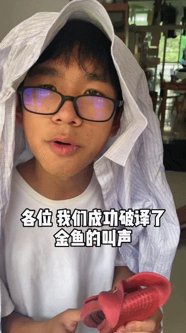 抖音做什么赛道最容易涨粉,抖音30日内涨粉榜