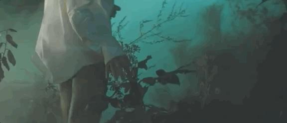 刘雯樱花紫色,刘雯拍过啥片