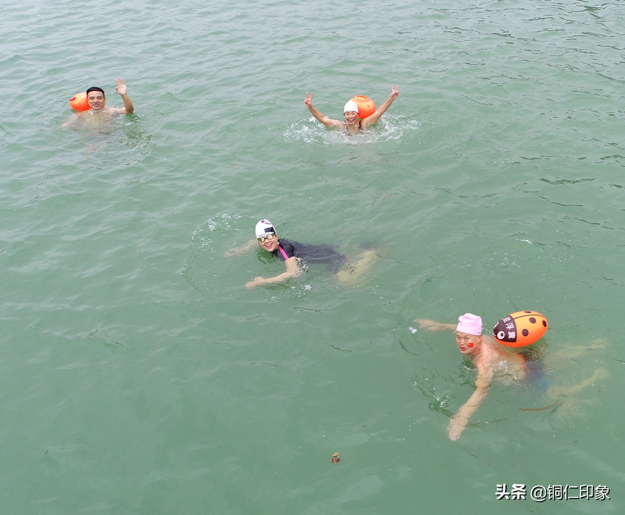 铜仁市游泳协会,2023年铜仁市运动会游泳比赛