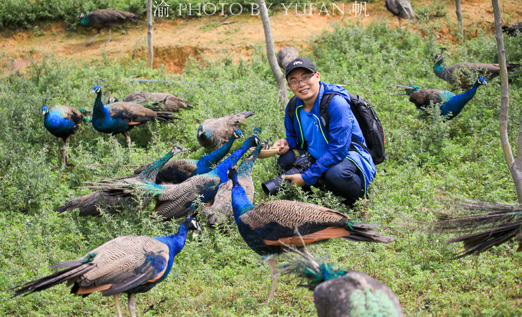 周末去哪儿玩重庆巴南,巴南周末户外带孩子去哪里玩