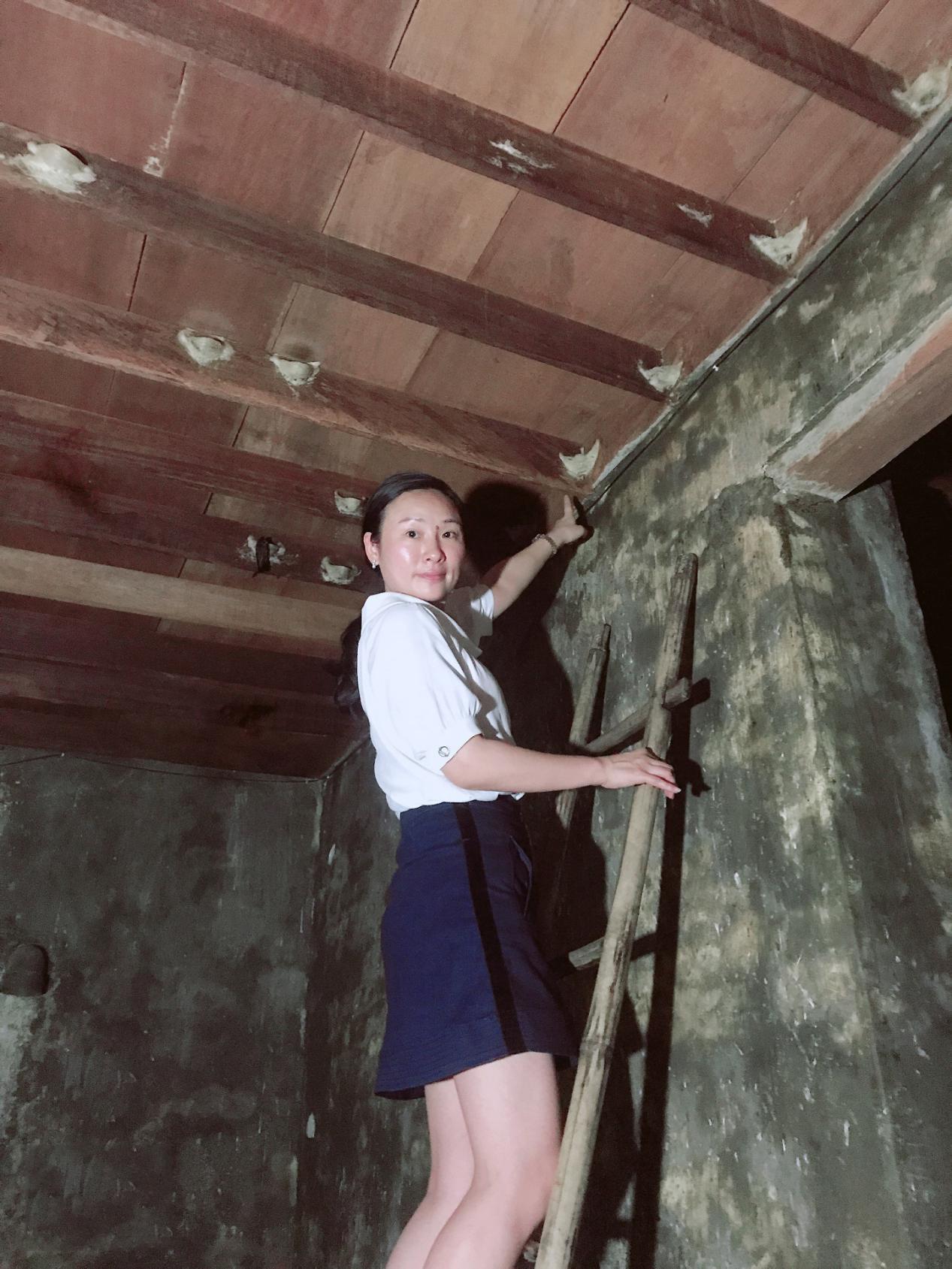 印尼产的燕窝是真的吗 (燕窝最好的产地为什么是印尼)