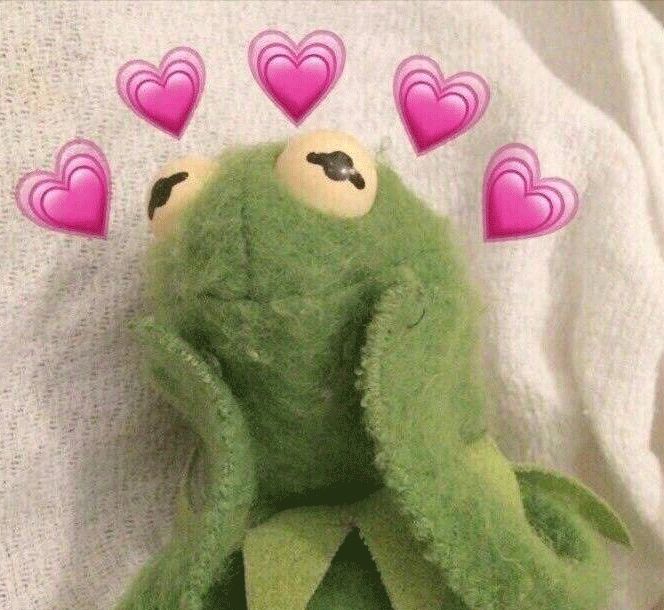 我花了2000块钱接头发,到底值不值?