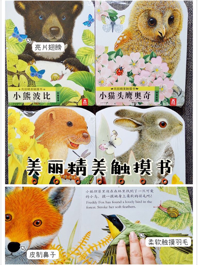 孩子百看不厌的绘本,宝宝有趣的绘本