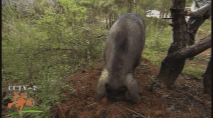 易门滇中水城湖边美景,滇中水城易门的夏日印记