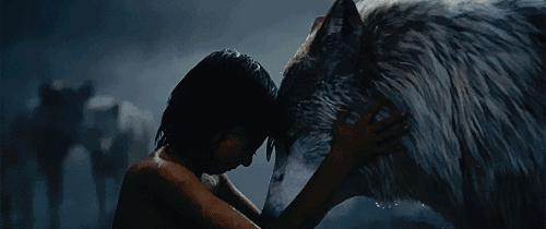 适合磨耳朵的英语电影,电影听力