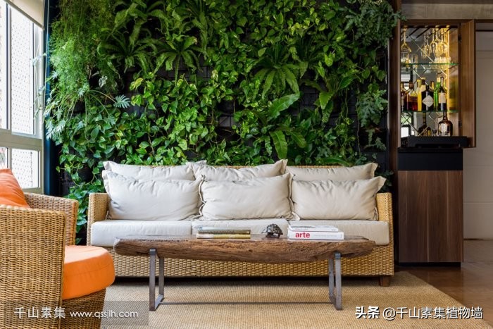 自然风格植物墙效果图,植物墙结合空间设计图