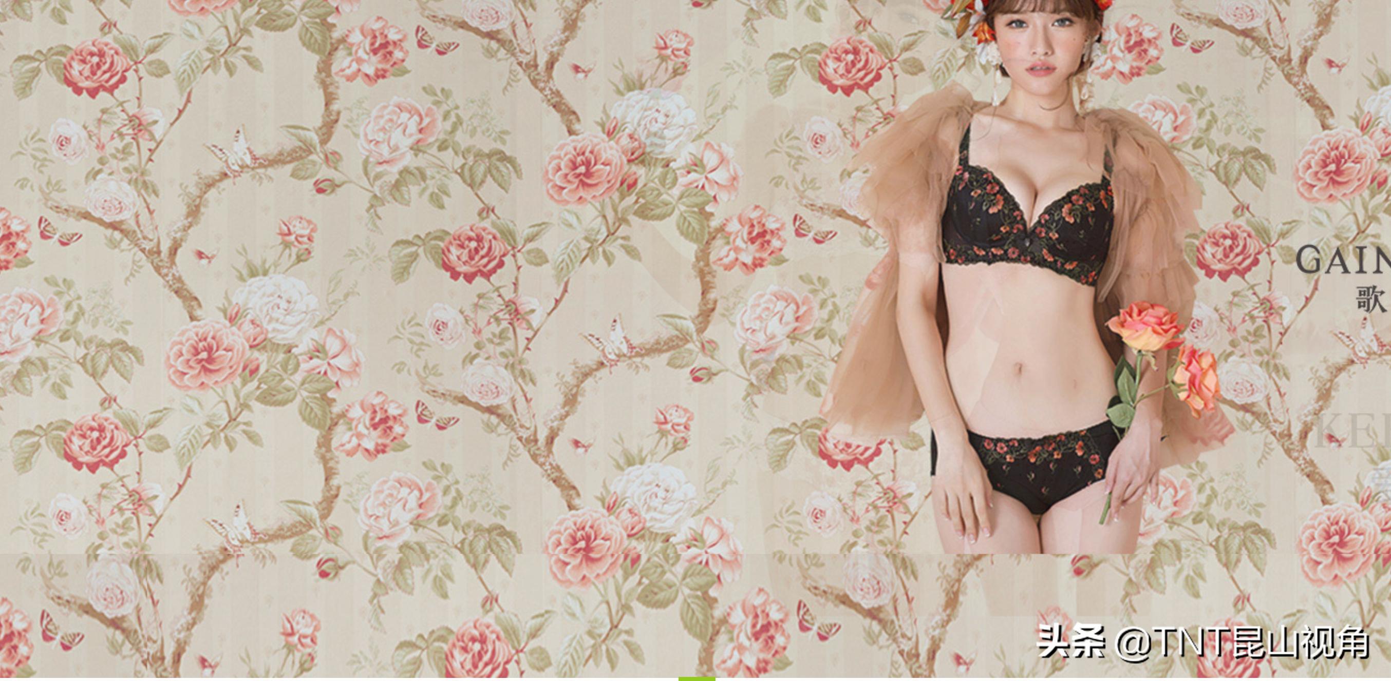 美背内衣排名,美背文胸品牌前十排名