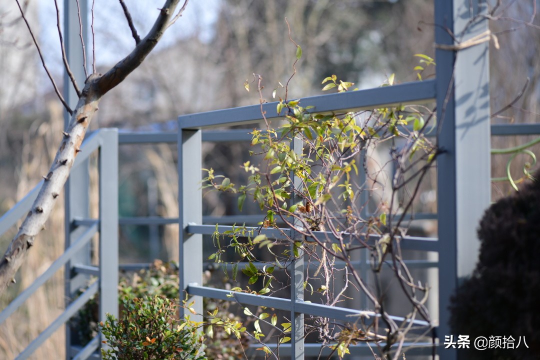 就趁现在，花园最忙碌的季节|园丁