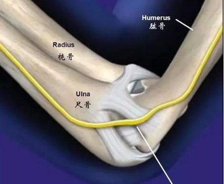 学葵花点穴手能防身吗,防身术点穴防身100招