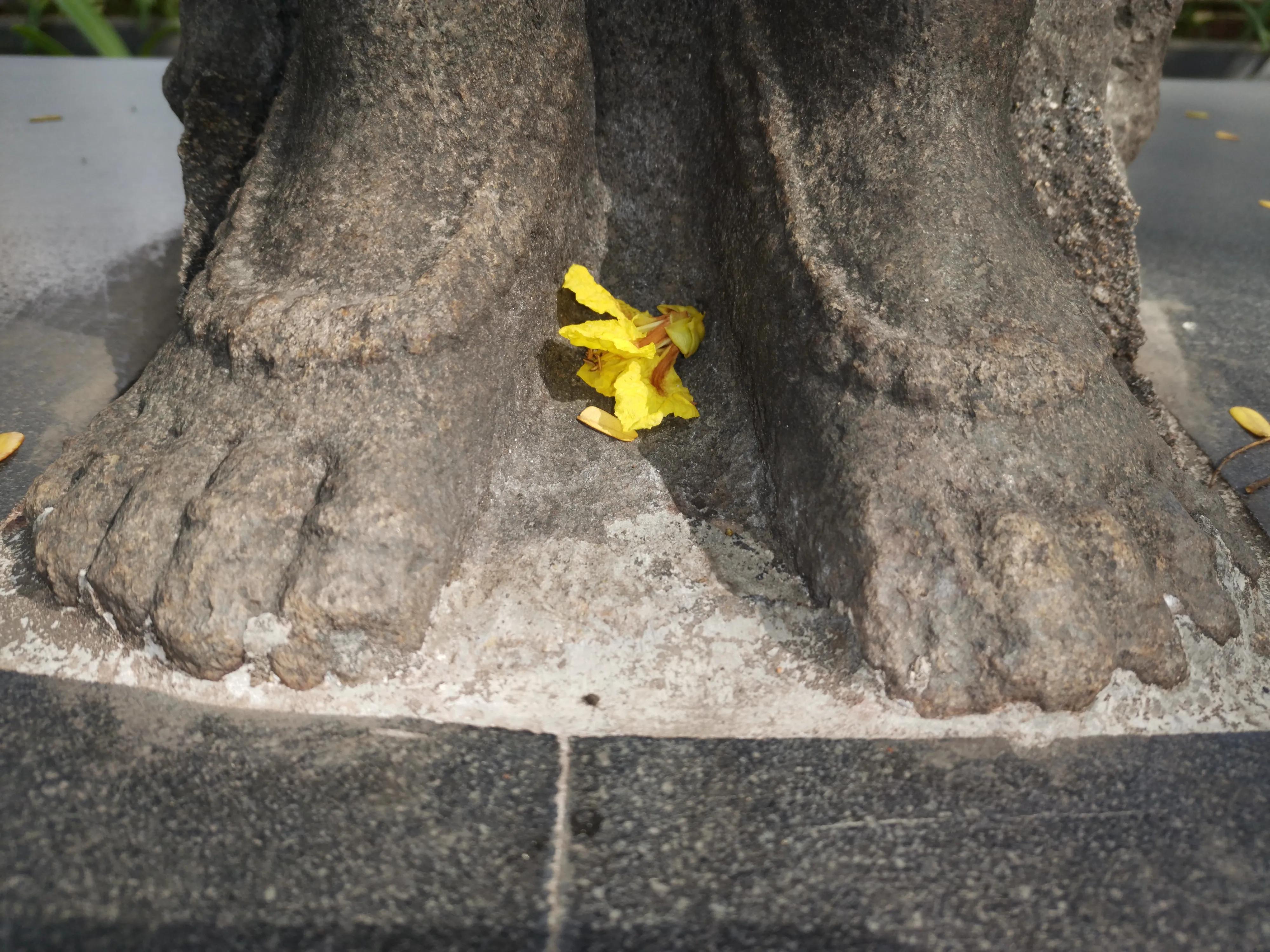 你所不知道的酒店,印度顶级酒店在哪里