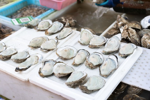 广州南沙最美风景区,南沙湾区超美风景线