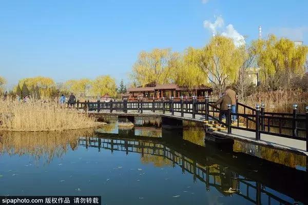 北京古塔公园推荐,北京最良心的古寺免费景点