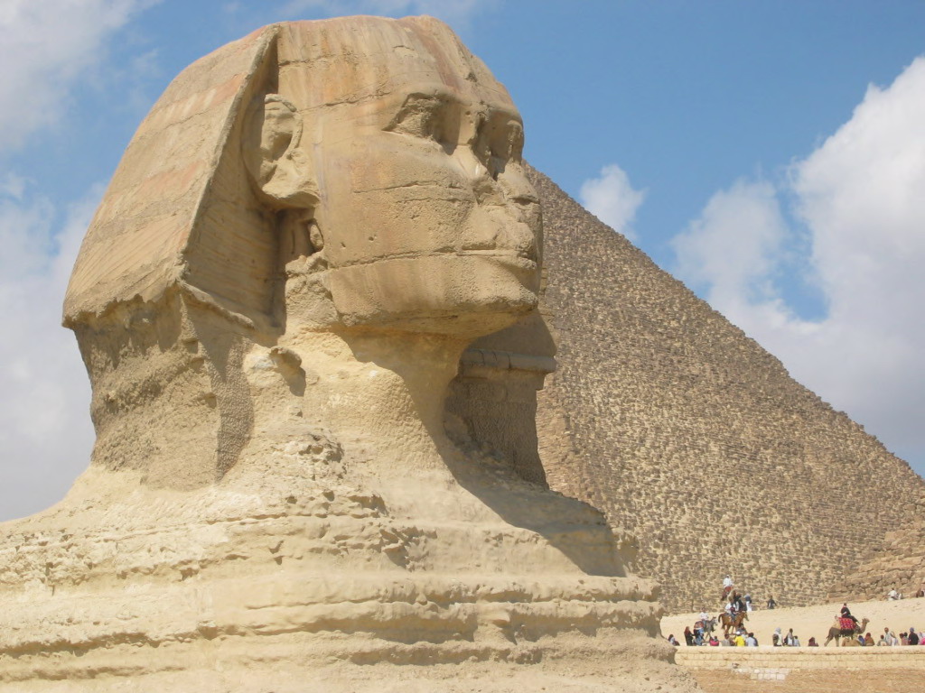 全网最好看的斯芬克斯无毛猫,最漂亮的斯芬克斯猫