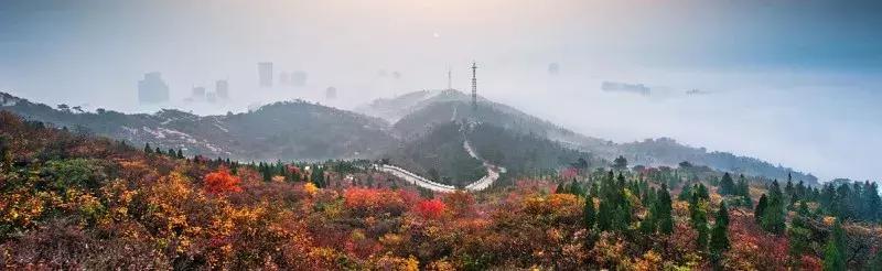 什么是港城,连云港是哪的