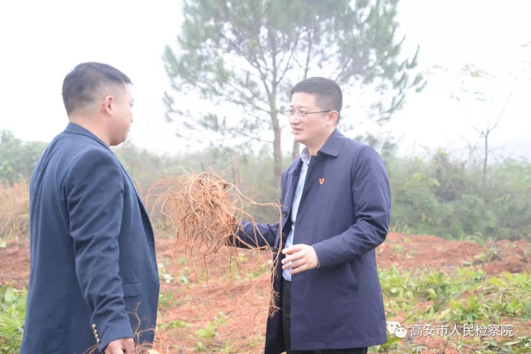 检察长调研驻村帮扶,韩建高安检察院
