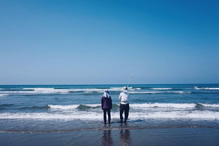 海边钓鱼钓不着怎么办,体会不到台钓的快乐