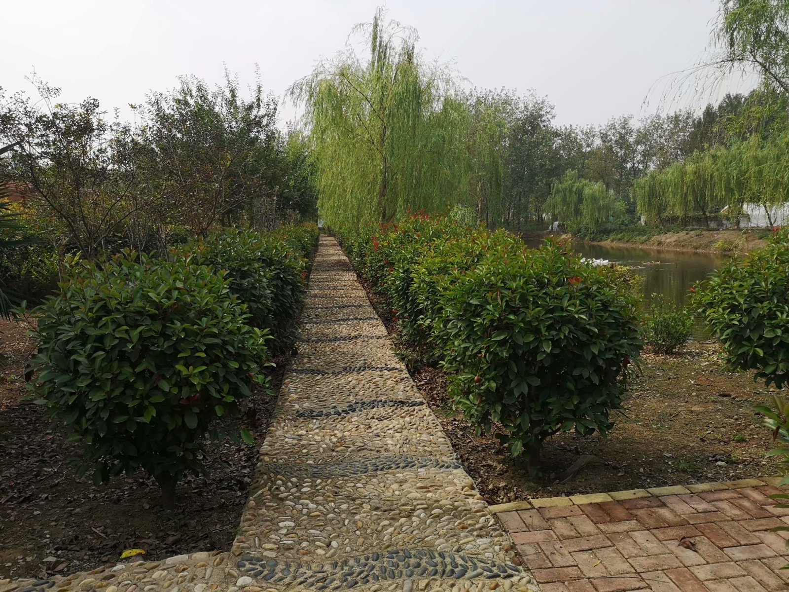 俞伯牙墓为什么在固镇,俞伯牙墓出土