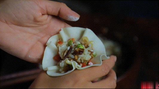 李子柒挖冬笋视频全集,李子柒挖竹笋完整视频