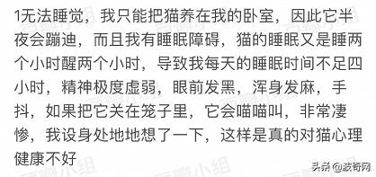 突然养猫了很焦虑,自从接了一只猫回家