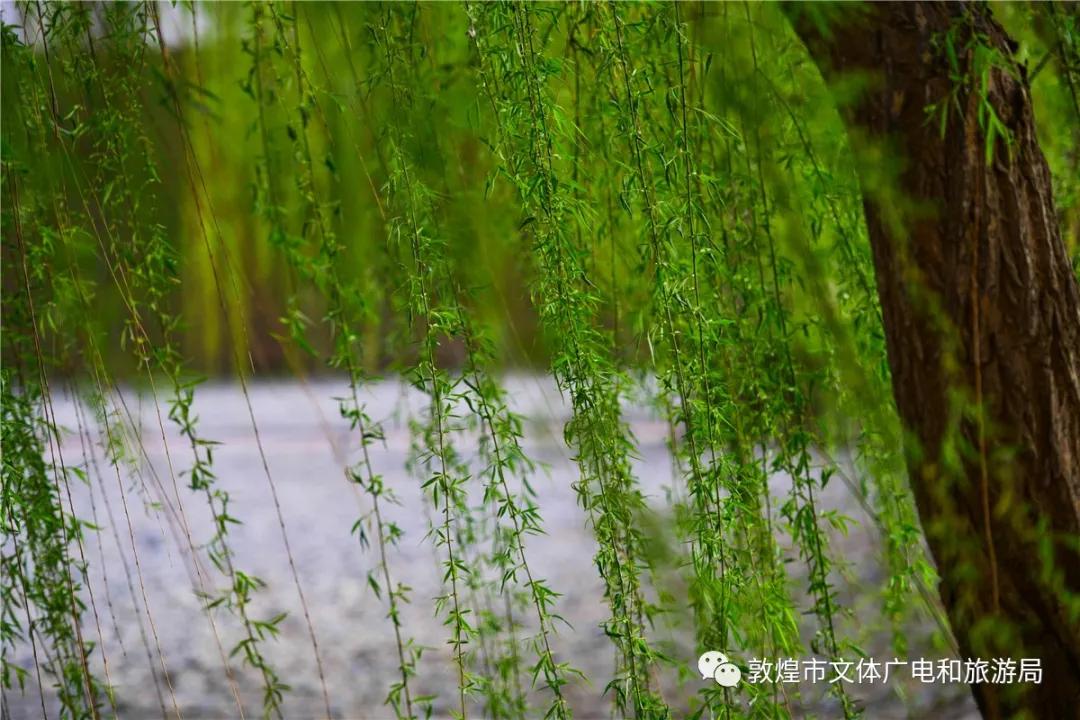 鏁︾厡灞卞簞搴櫌鏅,鏁︾厡灞卞簞搴櫌娣卞害