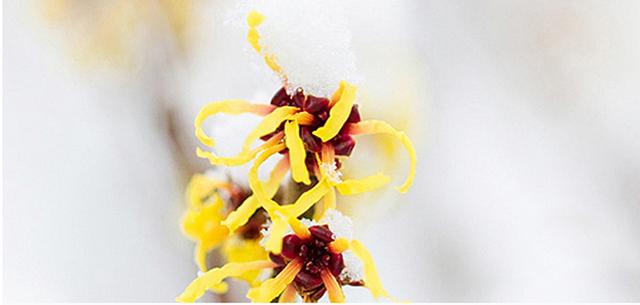 角质去得好，还你水润清透嫩白肌！小众也变“SK-II”！