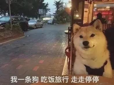 电脑最真实的模拟游戏,十大耐玩模拟电脑游戏